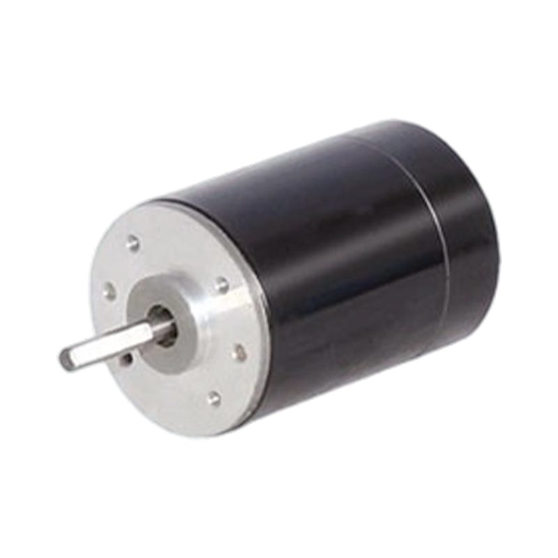 38ZY63 38mm 24V/48V 영구 자석 브러시형 DC 모터