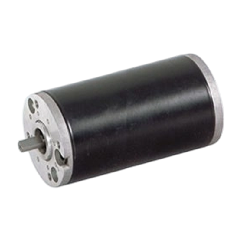 63ZY125 63mm 높은 보호 수준 영구 자석 브러시형 DC 모터